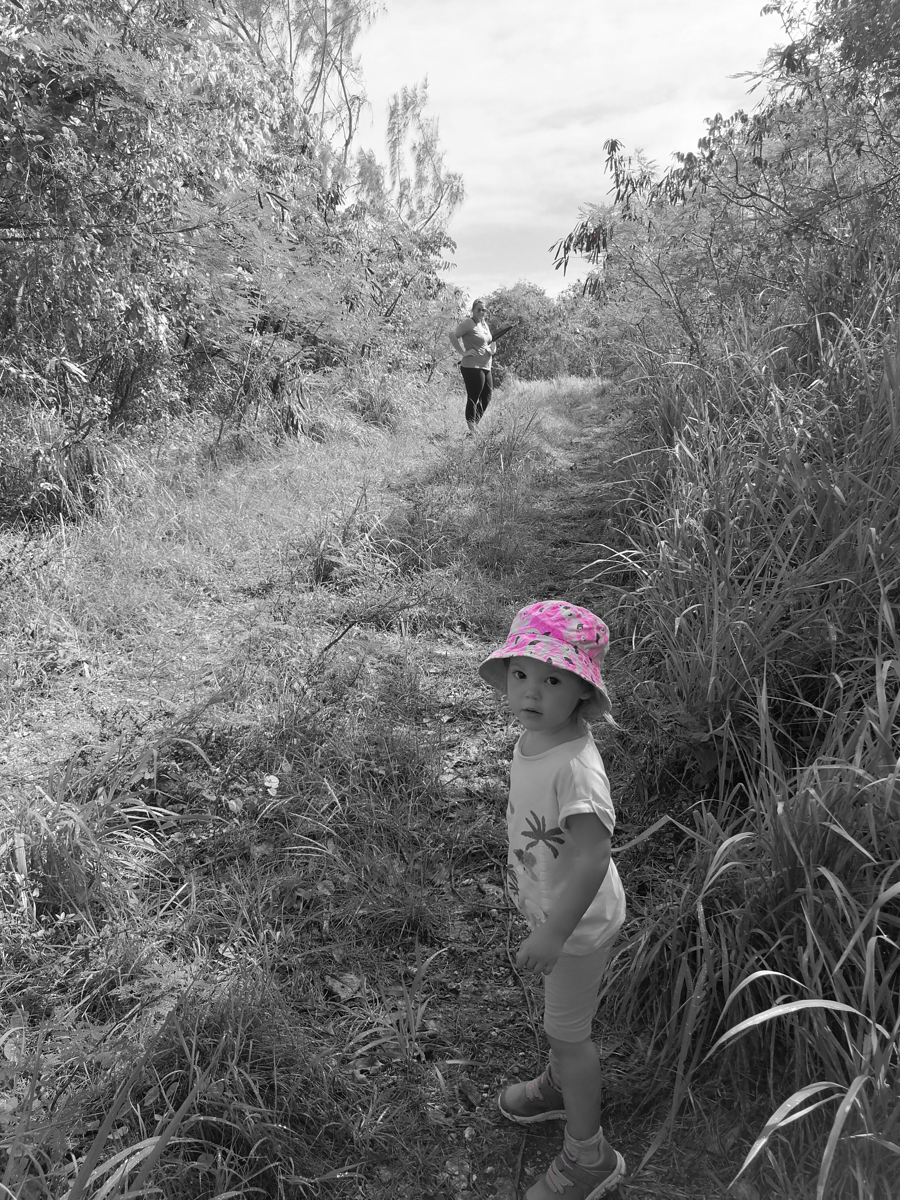 Post Lockdown Hike