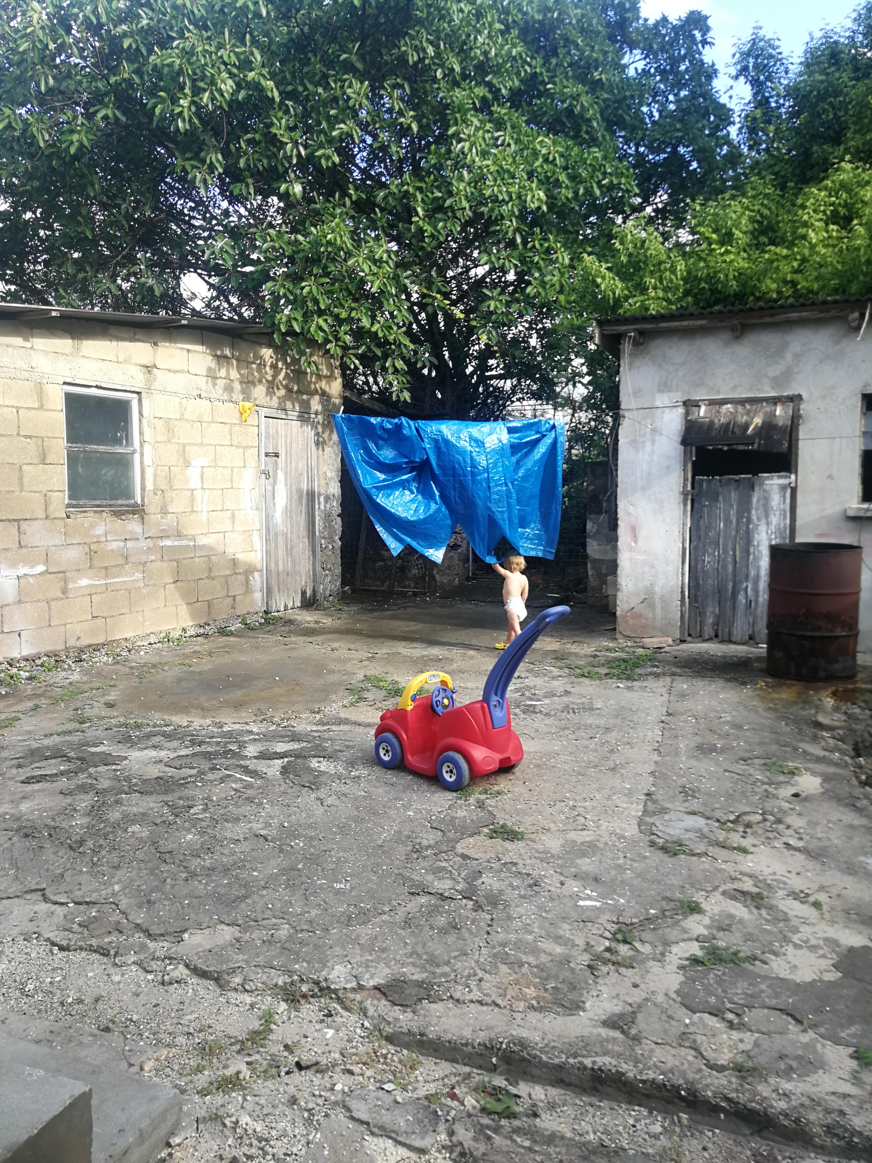 Early Yard